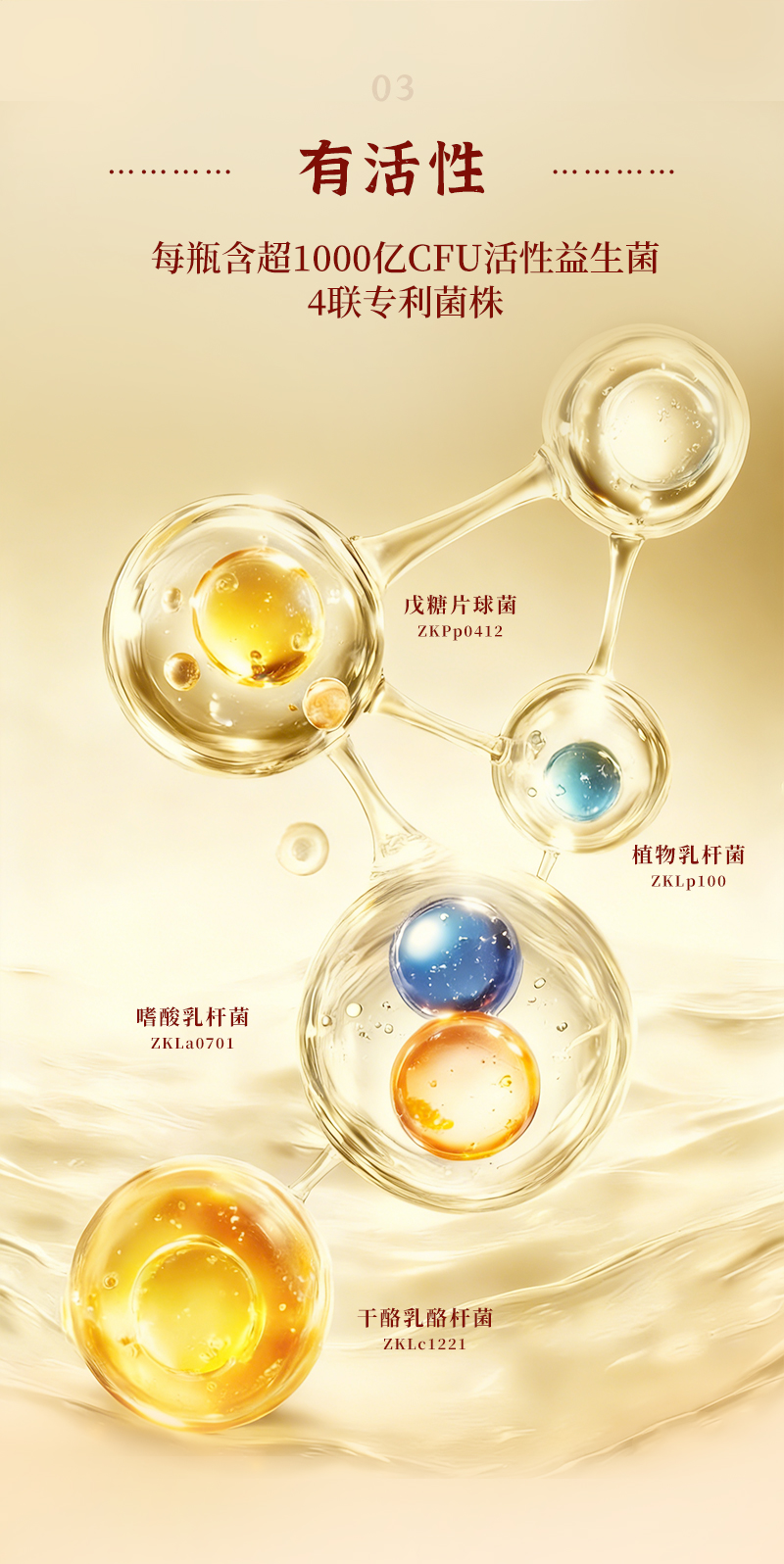 中医补品--详情--修订8_07.jpg
