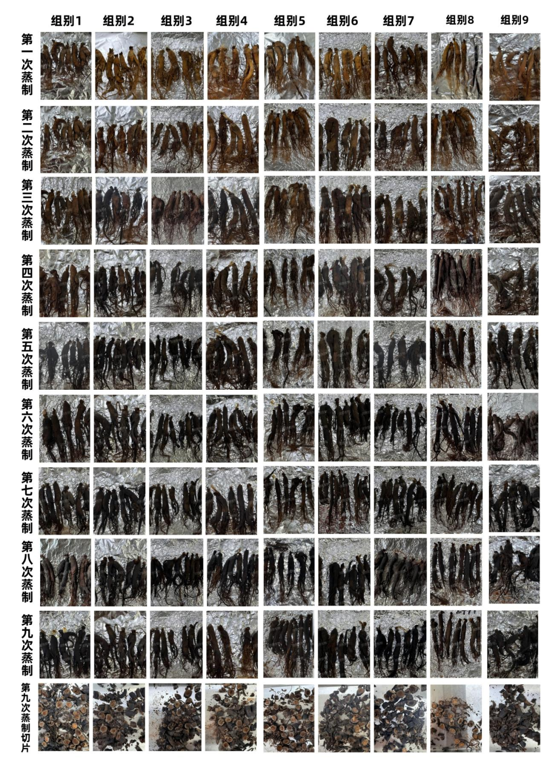 533beab135cdda4842ec327ae639c3f9_640_wx_fmt=png&from=appmsg.png